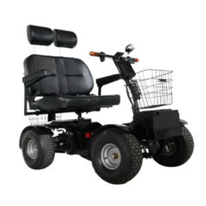 Cheetah Ninja 2 Seater Side View